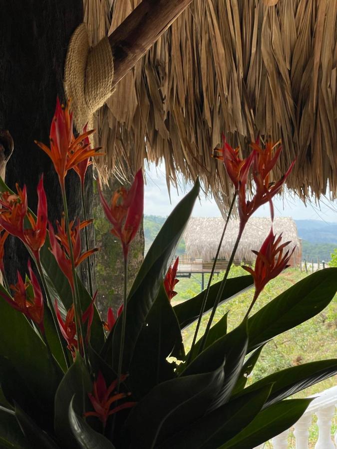 La Manola Finca Hotel Doradal Εξωτερικό φωτογραφία