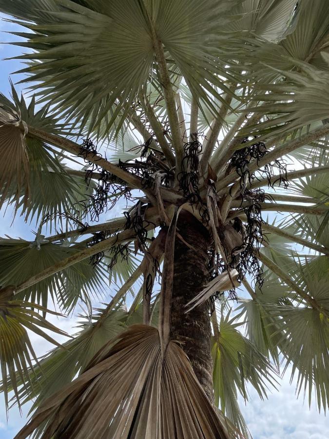 La Manola Finca Hotel Doradal Εξωτερικό φωτογραφία